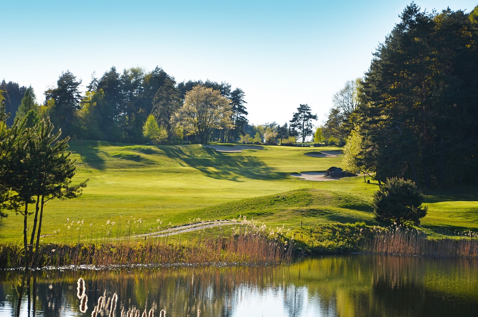 Petr Dědek bude kandidovat na prezidenta České golfové federace